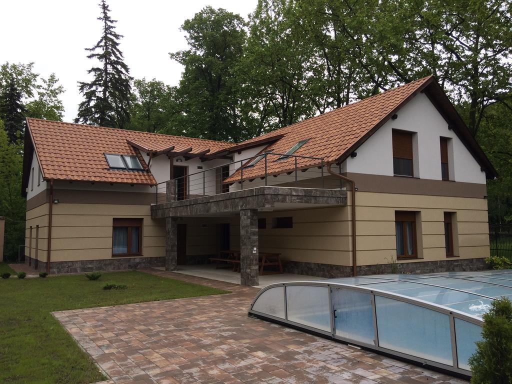 Családi Villa Balatonszárszó Esterno foto